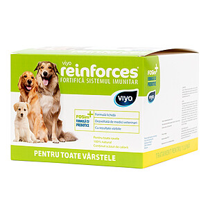 Viyo Reinforces Dog Adult